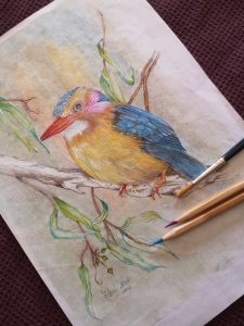 Kingfisher met Oliepastel, thinners en en waterverfpotlood tegniek 